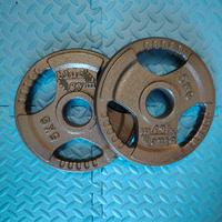 Coppia dischi olimpici in ferro 5kg