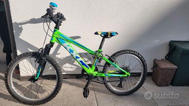 Bicicletta 20 Pollici