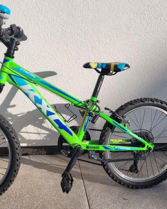 Bicicletta 20 Pollici