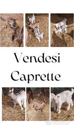 Caprette