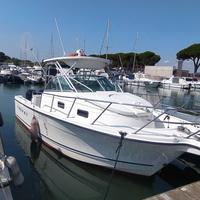 Imbarcazione Bayliner