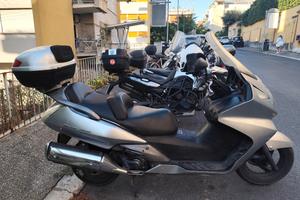 Silver Wing 400