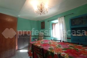 Terratetto Ateleta [6025VRG]