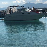 Barca Sea Ray Sundancer 24