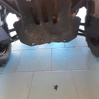 Quad scrambler 500 2011