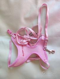 Cane pettorina più due guinzagli 