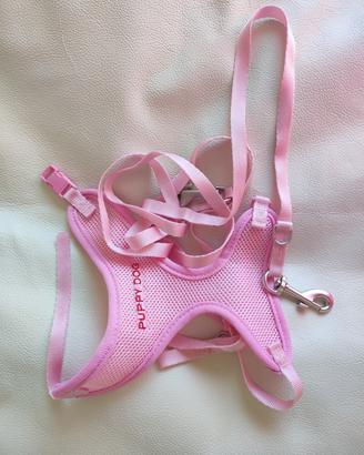 Cane pettorina più due guinzagli 