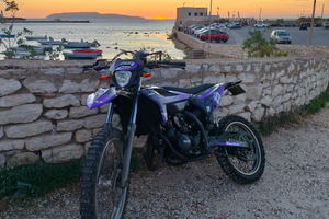 Beta rr 50 viola