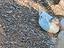 Immagine 3