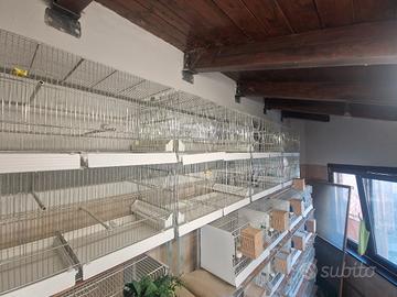 Gabbie da allevamento da 90 usate una stagione 