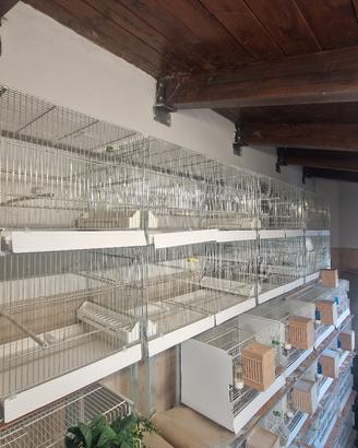 Gabbie da allevamento da 90 usate una stagione 