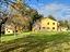 Immagine 9