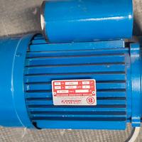 motore elettrico 220