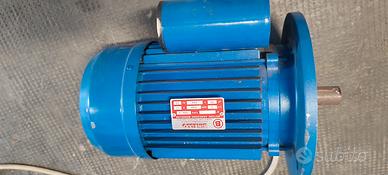 motore elettrico 220