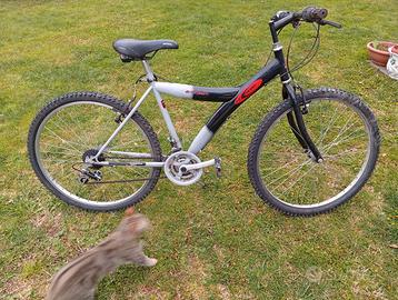 Bicicletta