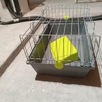 Gabbia per cavie