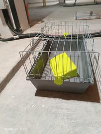 Gabbia per cavie