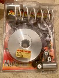 Variatore Suzuki Burgman