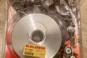 Variatore Suzuki Burgman