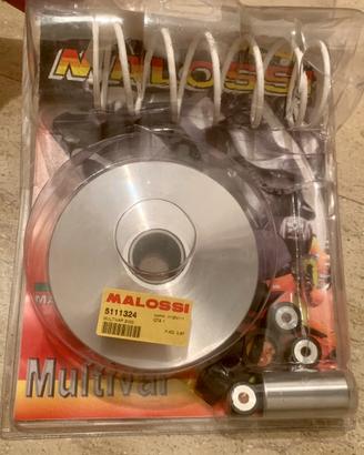 Variatore Suzuki Burgman