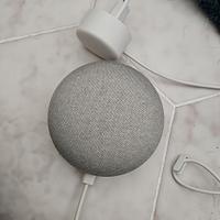 google home