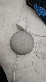 google home