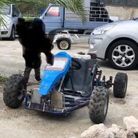 Go-kart