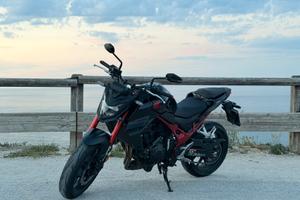 Hornet 750