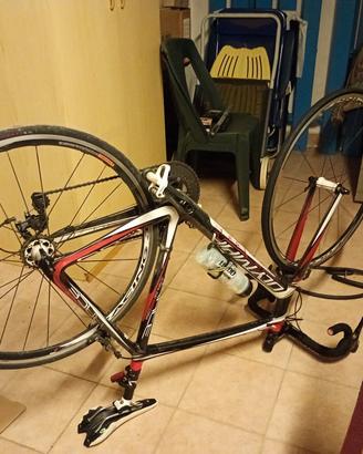 bici carbonio 