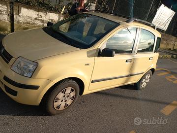 fiat panda
