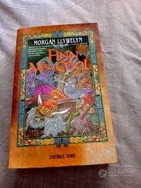 LLywelyn Morgan Finn MacCool