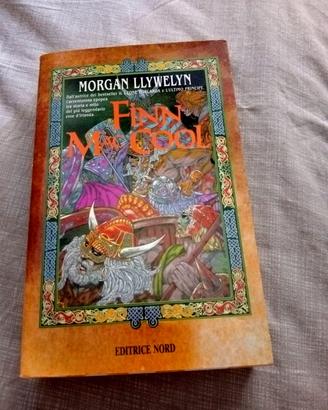 LLywelyn Morgan Finn MacCool