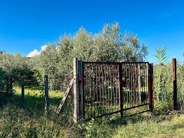 Palestrina terreno agricolo