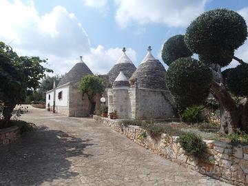 Trullo della Via Vecchia - Alberobello