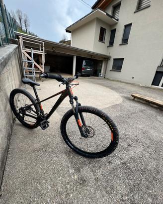Wheelie bike (Ktm)