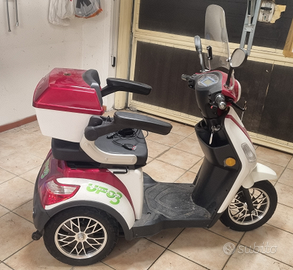 Scooter elettrico 3 Ruote