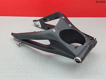 FORCELLONE POSTERIORE TRIUMPH STREET TRIPLE 675 20