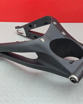 FORCELLONE POSTERIORE TRIUMPH STREET TRIPLE 675 20