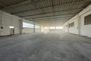 CAPANNONE A SOLESINO