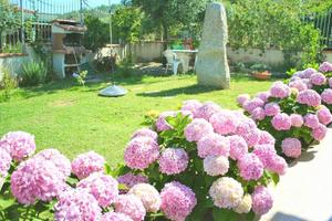 Trilocale con patio e giardino a Portofrailis