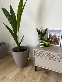 Appartamento vista mare