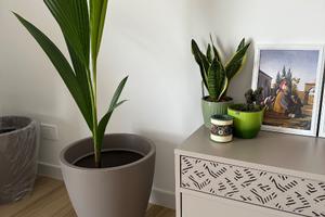 Appartamento vista mare