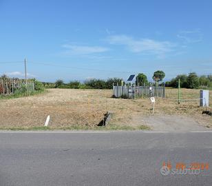 Terreno agricolo Prato Ovest