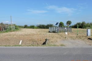 Terreno agricolo Prato Ovest