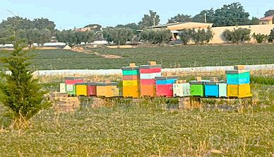 Famiglia Api con Arnia