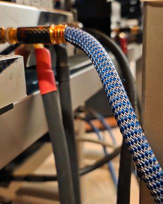CAVO  RICABLE  RCA