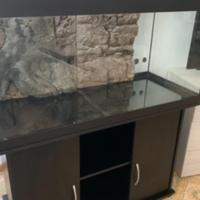 Acquario juwel rio 240l