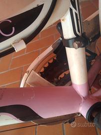 bicicletta 
