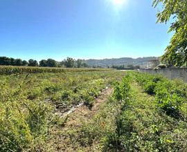 TERRENO AGRICOLO in OT TIMA POSIZIONE