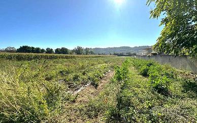 TERRENO AGRICOLO in OT TIMA POSIZIONE